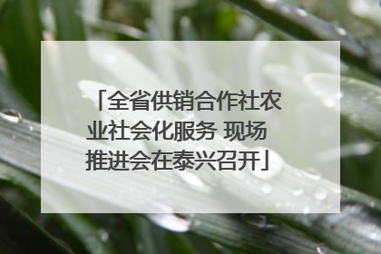 全省供销合作社农业社会化服务 现场推进会在泰兴召开