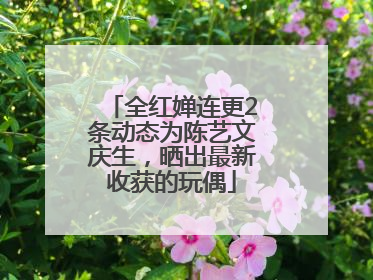 全红婵连更2条动态为陈艺文庆生，晒出最新收获的玩偶