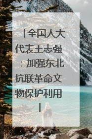 全国人大代表王志强：加强东北抗联革命文物保护利用