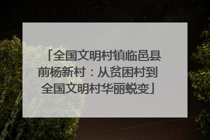 全国文明村镇临邑县前杨新村：从贫困村到全国文明村华丽蜕变