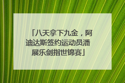 八天拿下九金，阿迪达斯签约运动员潘展乐剑指世锦赛