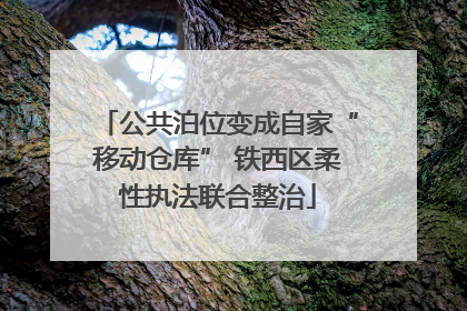 公共泊位变成自家“移动仓库” 铁西区柔性执法联合整治