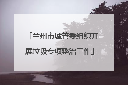 兰州市城管委组织开展垃圾专项整治工作