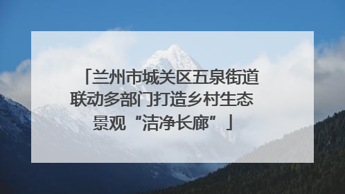 兰州市城关区五泉街道联动多部门打造乡村生态景观“洁净长廊”
