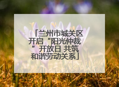 兰州市城关区开启“阳光仲裁”开放日 共筑和谐劳动关系
