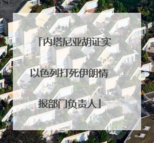 内塔尼亚胡证实以色列打死伊朗情报部门负责人