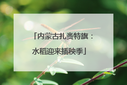 内蒙古扎赉特旗：水稻迎来插秧季