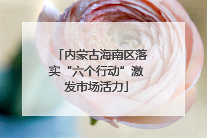 内蒙古海南区落实“六个行动”激发市场活力