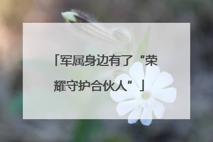 军属身边有了“荣耀守护合伙人”