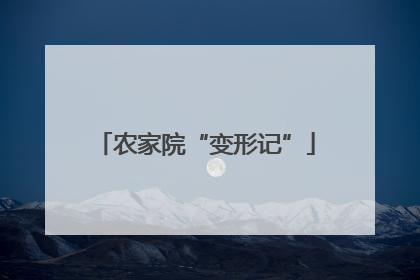 农家院“变形记”