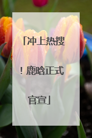 冲上热搜！鹿晗正式官宣