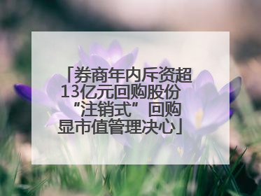 券商年内斥资超13亿元回购股份 “注销式”回购显市值管理决心