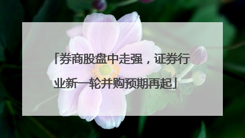 券商股盘中走强，证券行业新一轮并购预期再起