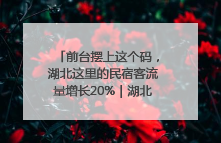 前台摆上这个码，湖北这里的民宿客流量增长20%｜湖北市场监管所的故事
