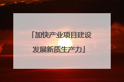 加快产业项目建设 发展新质生产力