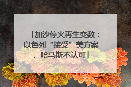 加沙停火再生变数：以色列“接受”美方案、哈马斯不认可