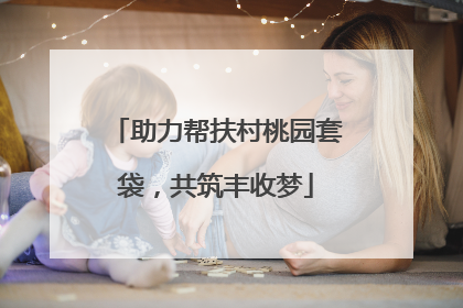 助力帮扶村桃园套袋，共筑丰收梦