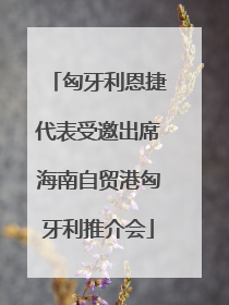 匈牙利恩捷代表受邀出席海南自贸港匈牙利推介会