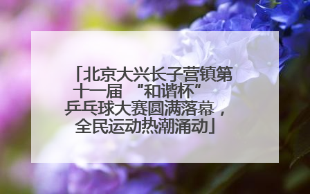 北京大兴长子营镇第十一届 “和谐杯” 乒乓球大赛圆满落幕，全民运动热潮涌动