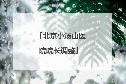 北京小汤山医院院长调整