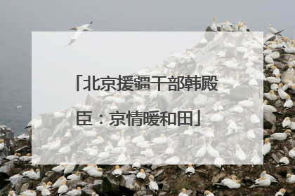 北京援疆干部韩殿臣：京情暖和田