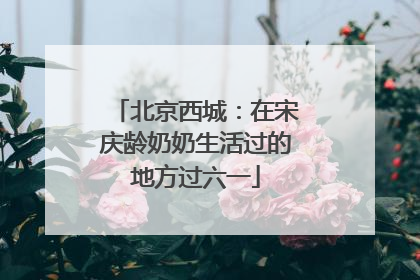 北京西城：在宋庆龄奶奶生活过的地方过六一