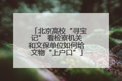 北京高校“寻宝记” 看检察机关和文保单位如何给文物“上户口”