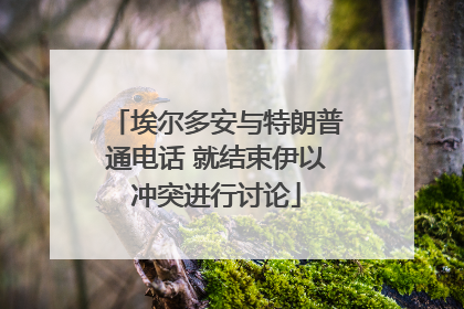 埃尔多安与特朗普通电话 就结束伊以冲突进行讨论