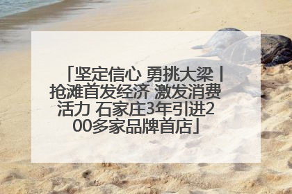 坚定信心 勇挑大梁丨抢滩首发经济 激发消费活力 石家庄3年引进200多家品牌首店