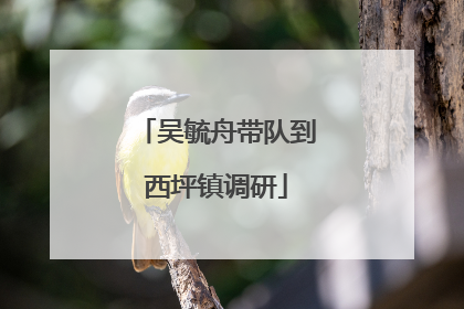 吴毓舟带队到西坪镇调研