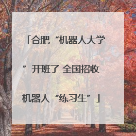 合肥“机器人大学”开班了 全国招收机器人“练习生”