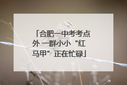 合肥一中考考点外 一群小小“红马甲”正在忙碌