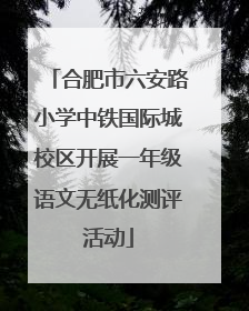 合肥市六安路小学中铁国际城校区开展一年级语文无纸化测评活动