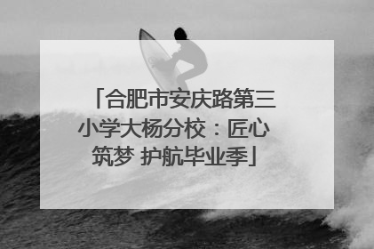 合肥市安庆路第三小学大杨分校：匠心筑梦 护航毕业季