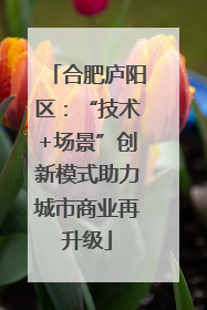 合肥庐阳区：“技术+场景”创新模式助力城市商业再升级