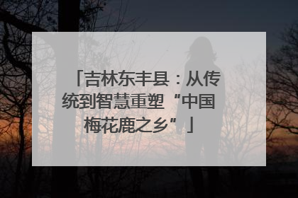吉林东丰县：从传统到智慧重塑“中国梅花鹿之乡”