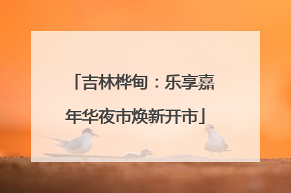 吉林桦甸：乐享嘉年华夜市焕新开市