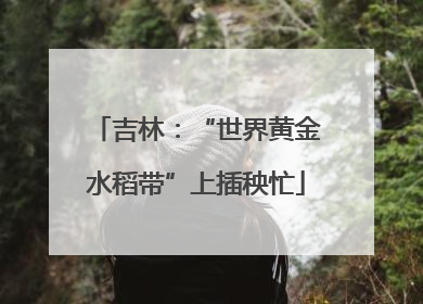 吉林：“世界黄金水稻带”上插秧忙