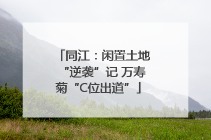 同江：闲置土地“逆袭”记 万寿菊“C位出道”