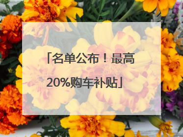 名单公布！最高20%购车补贴