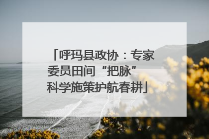 呼玛县政协：专家委员田间“把脉” 科学施策护航春耕