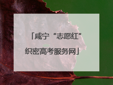 咸宁“志愿红”织密高考服务网