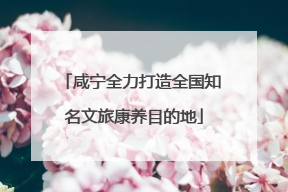 咸宁全力打造全国知名文旅康养目的地