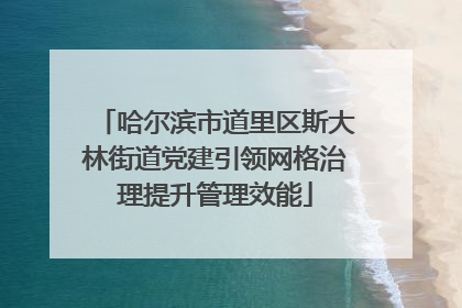 哈尔滨市道里区斯大林街道党建引领网格治理提升管理效能