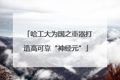 哈工大为国之重器打造高可靠“神经元”