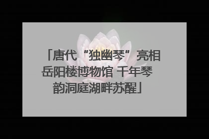 唐代“独幽琴”亮相岳阳楼博物馆 千年琴韵洞庭湖畔苏醒