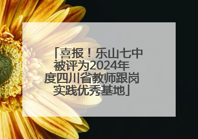 喜报！乐山七中被评为2024年度四川省教师跟岗实践优秀基地