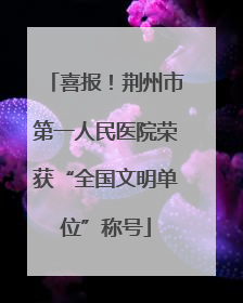 喜报！荆州市第一人民医院荣获“全国文明单位”称号