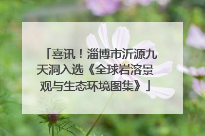 喜讯！淄博市沂源九天洞入选《全球岩溶景观与生态环境图集》