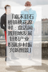 嘉禾县石桥镇桃花源村：盘活闲置用地发展针织产业 织就乡村振兴新图景